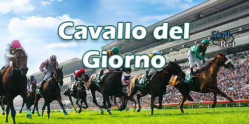 Pronostici di oggi sull'Ippica: ogni giorno un cavallo vincente su cui scommettere