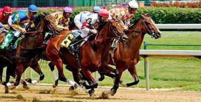 Strategia di trading per corse di cavalli su Betfair