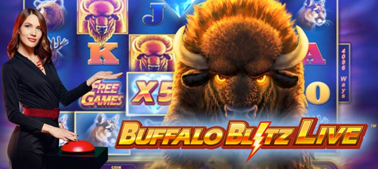 buffalo blitz live