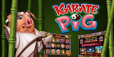 Slot machine Karate Pig: regole, simboli, bonus e free spins!