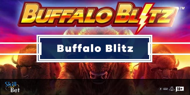 buffalo-blitz